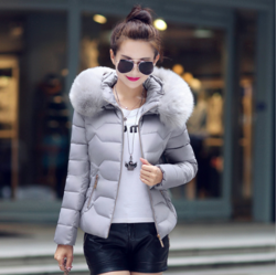 Cove Padded Short Jacket