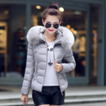 Cove Padded Short Jacket