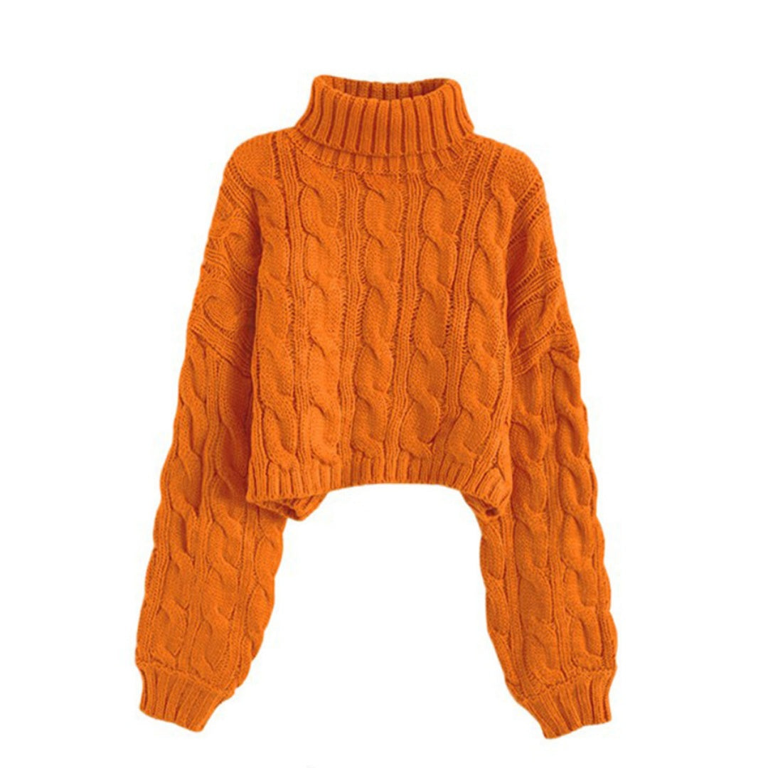 Hearth Cable-Knit Knit Turtleneck Pullover