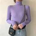 Hearth Garnet Turtleneck Sweater