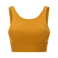 Pulse Bexley Sports Bra