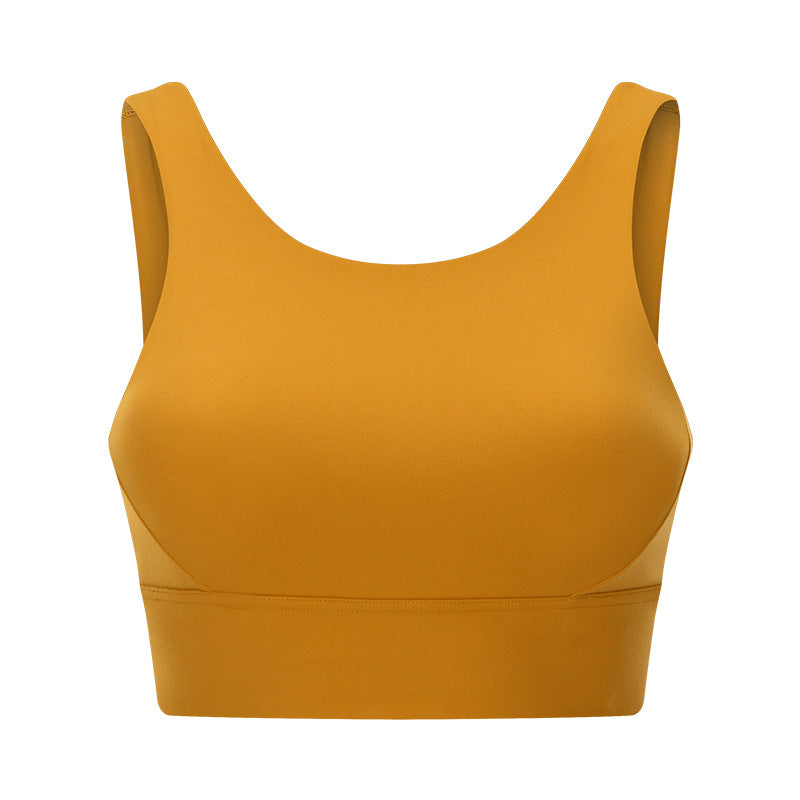 Pulse Bexley Sports Bra