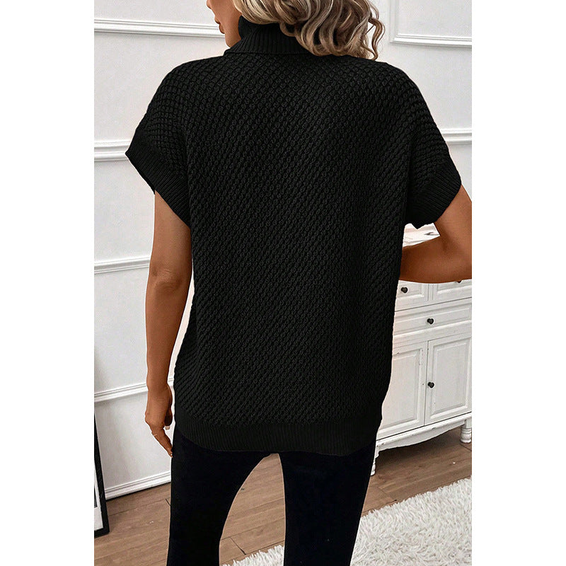 Hearth Bexley Solid Turtleneck Sweater