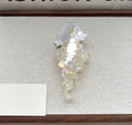 Ember Elan Hair Clip
