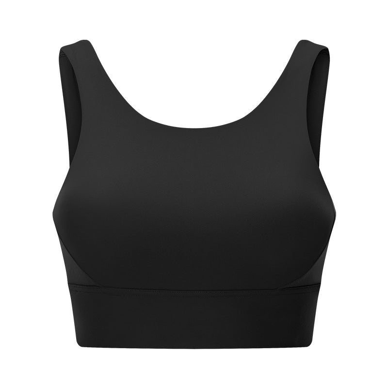 Pulse Bexley Sports Bra