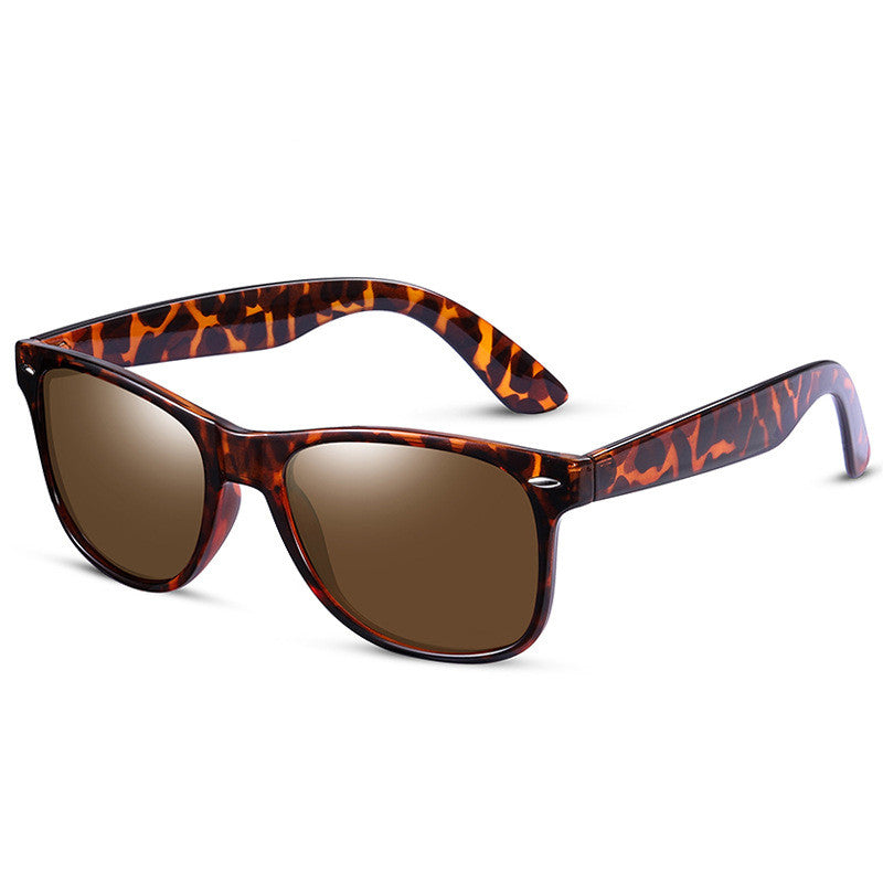 Solace Fenwick Polarized Sunglasses