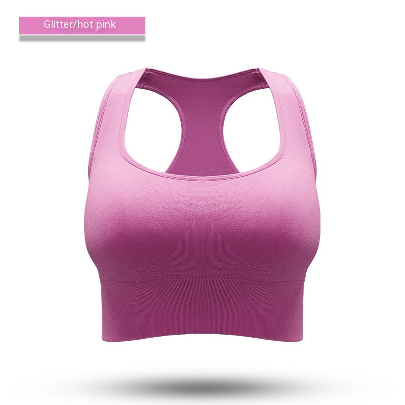 Pulse Calder Sports Bra