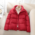District Men's Padded Short Jacket