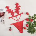 Contour Lace Embroidered Bodysuit