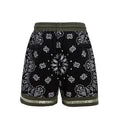 Rover Calder Men's Shorts
