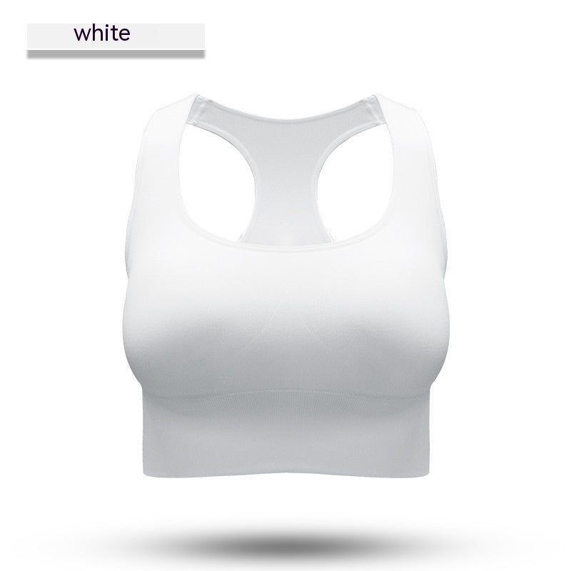 Pulse Calder Sports Bra