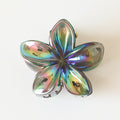 Ember Arden Retro Claw Clip