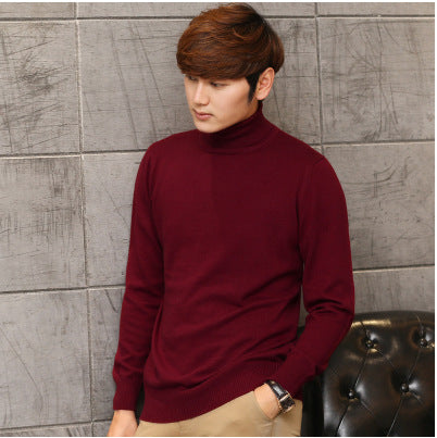 Atlas Men's Slim Solid Sweater
