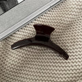 Ember Bexley Retro Claw Clip