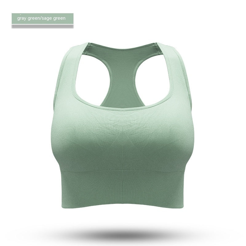 Pulse Calder Sports Bra