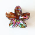 Ember Arden Retro Claw Clip