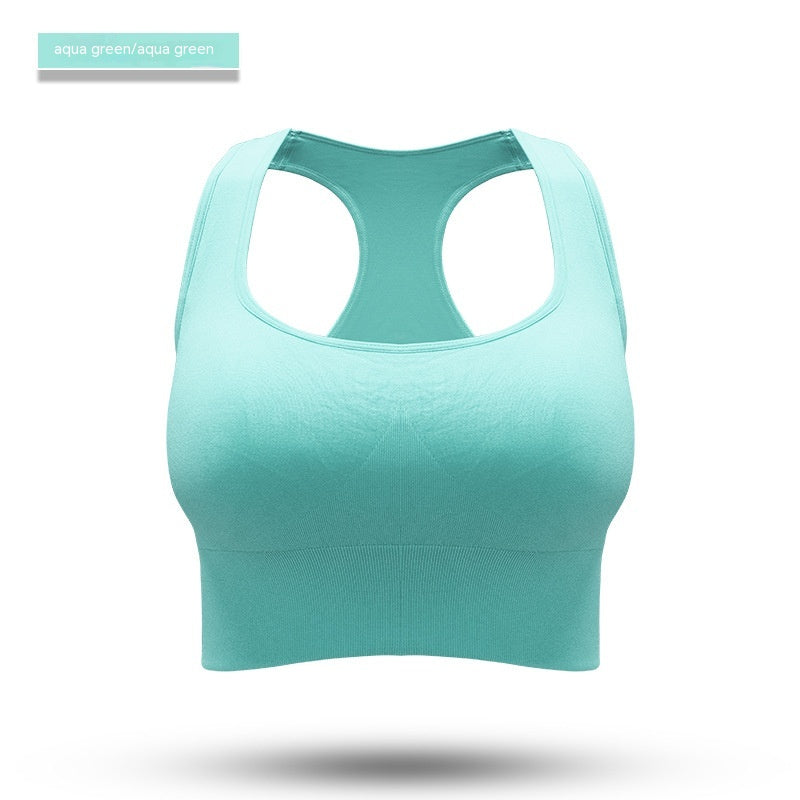 Pulse Calder Sports Bra