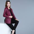 Halo Bexley Slim Short Leather Jacket